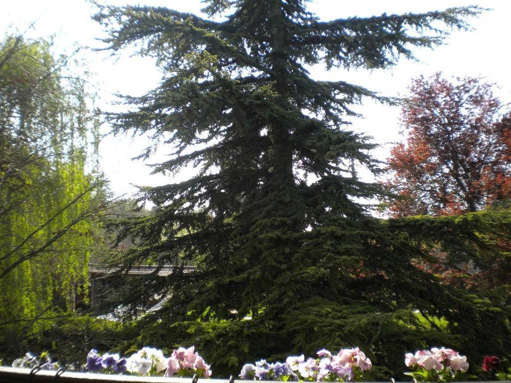 Aux Marguerites Villa Sainte-Genevieve-les-Gasny Rum bild